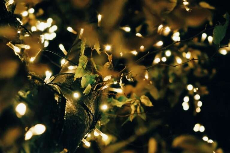 Outdoor decorative LED lights on a tree branch – LED lighting trends in UAE 2026